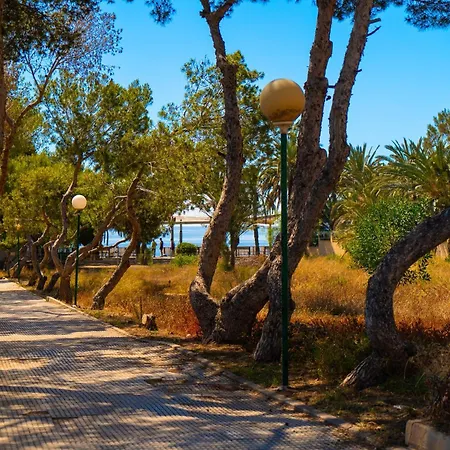 Sea Front Διαμέρισμα Τορεβιέχα